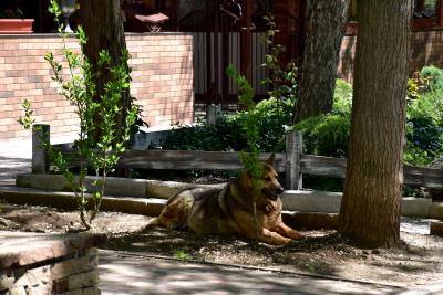 Прикрепленное изображение: 134.JPG